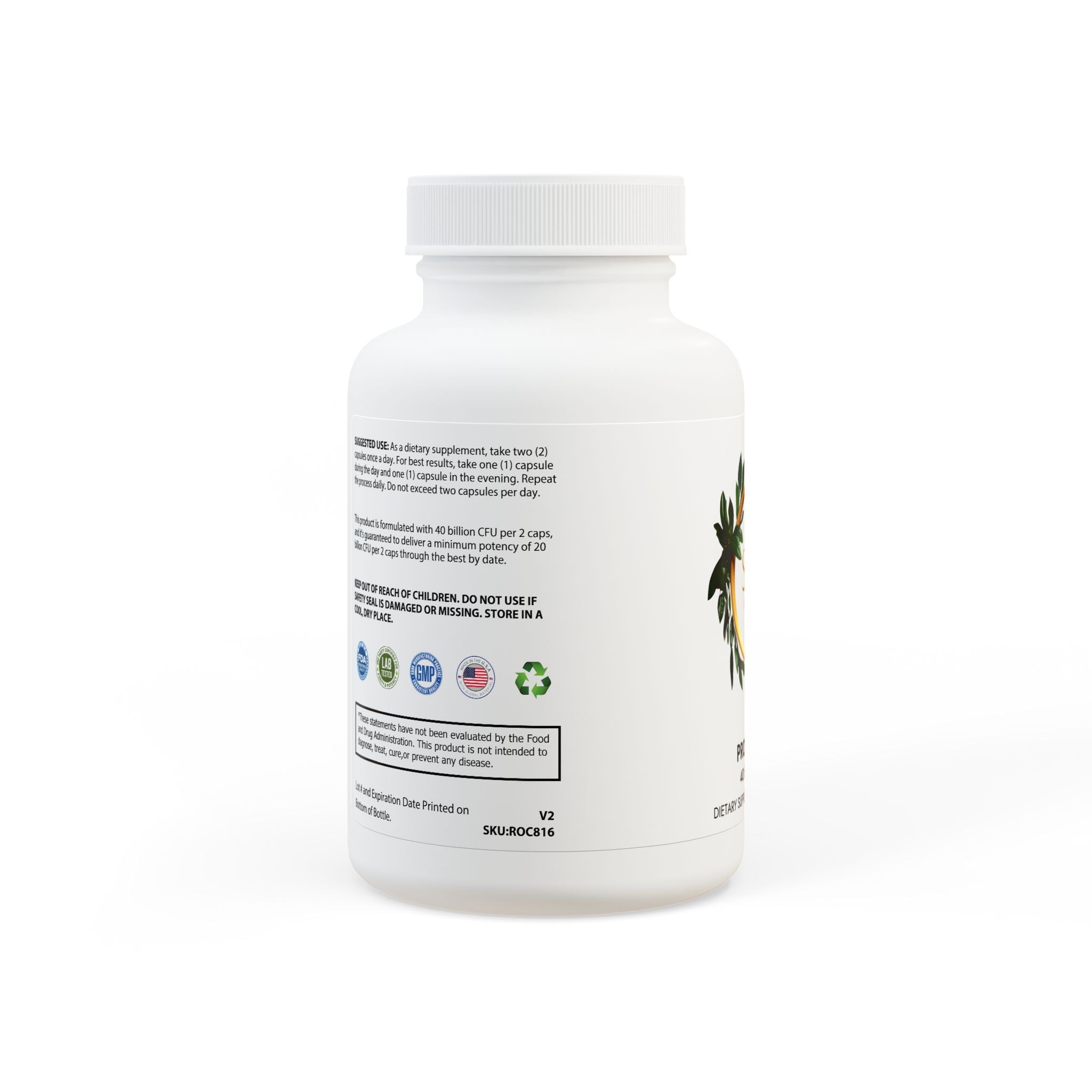 Probiotics Supplement (60 Capsules)